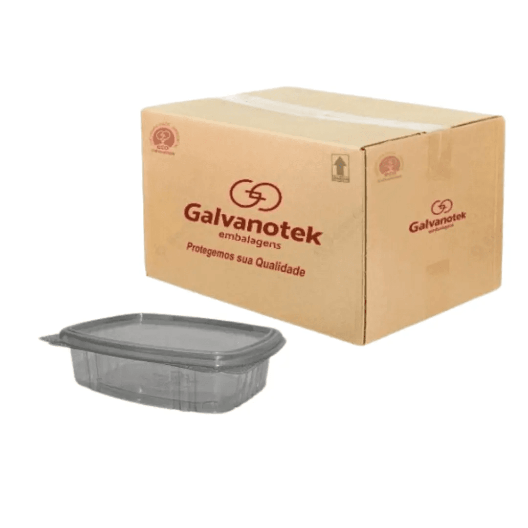 Container with Hinged Lid