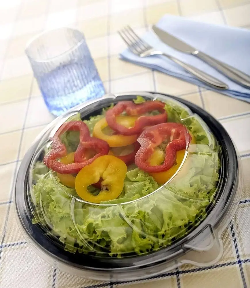Disposable Salad Bowl