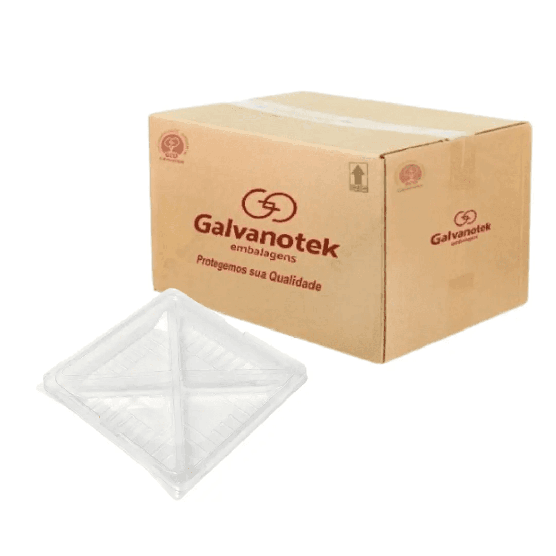 Square Packaging with 4 Compartments