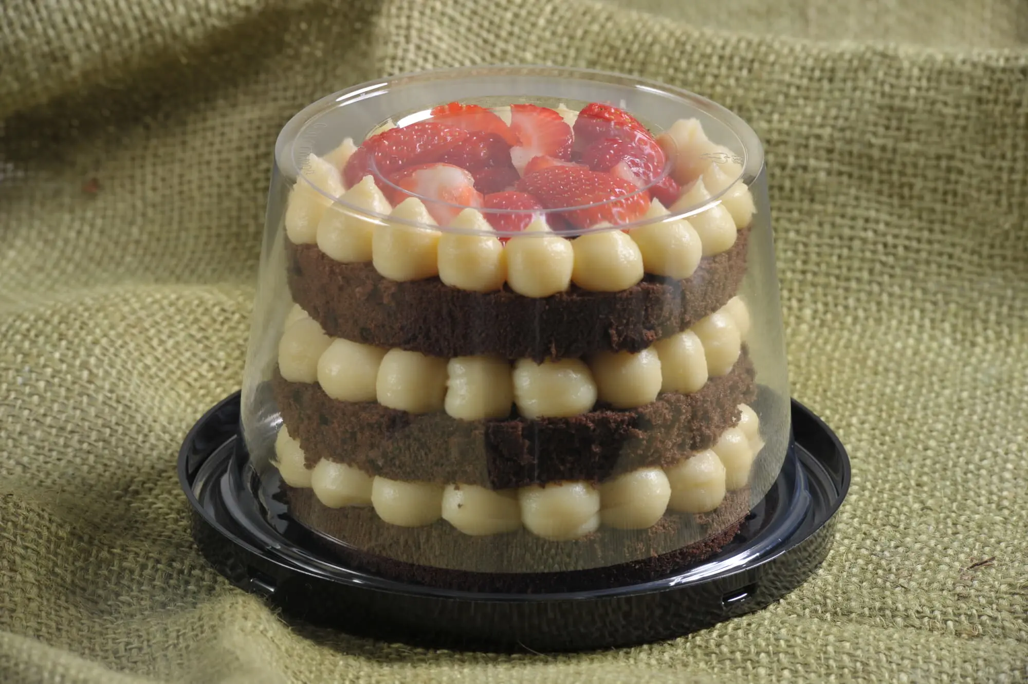 Contemporary Cake Container