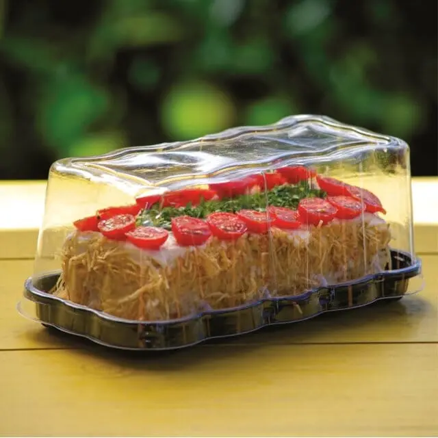 Rectangular Cake Container with Dome Lid
