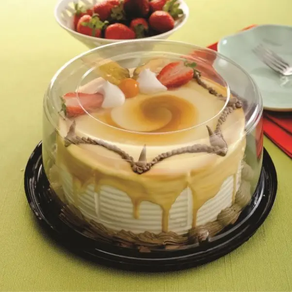 Container for Mini Black Base Cake