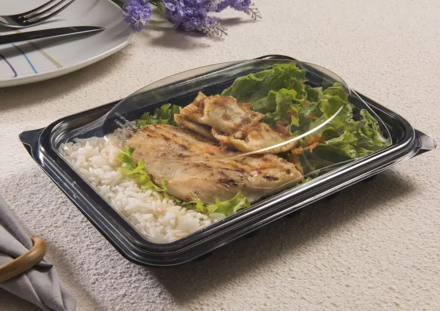Rectangular Multipurpose Tray with Lid