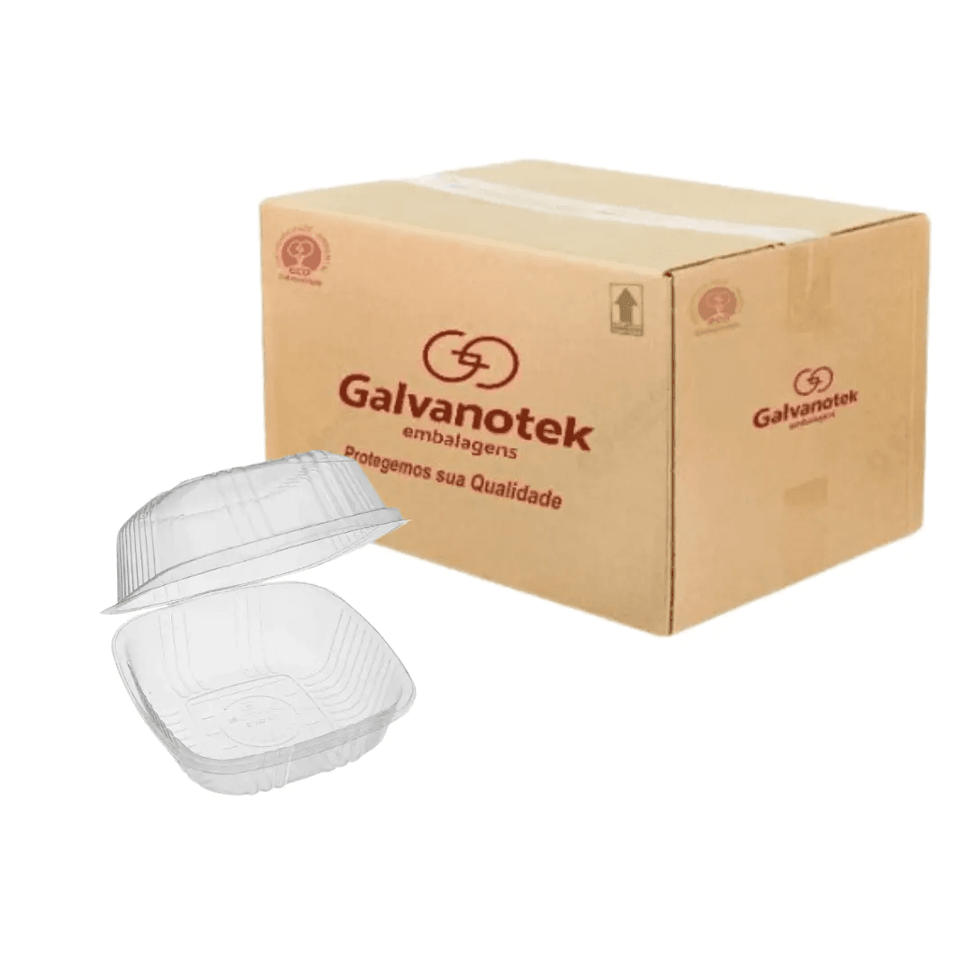 Hamburger Container
