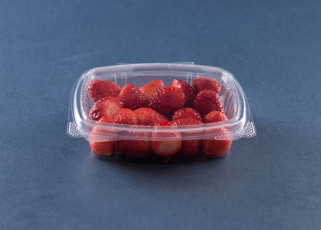 Container with Hinged Lid