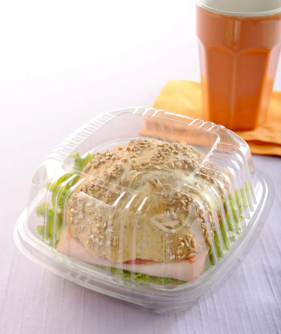 Hamburger Container