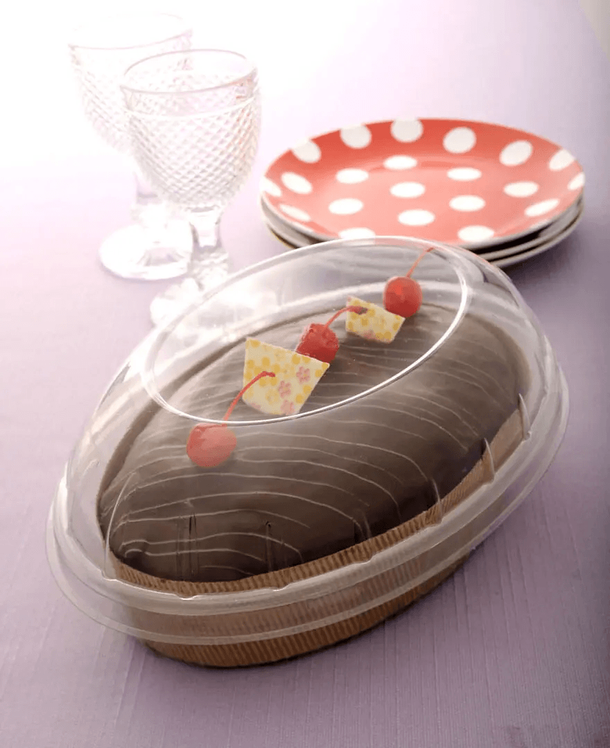 Oval Container with Dome Lid