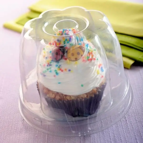 Cupcake Container