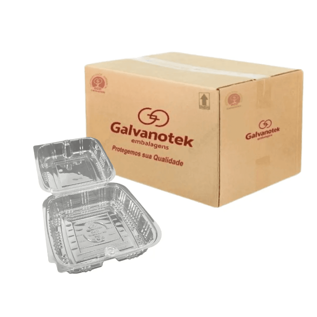Square Container with Hinged Lid