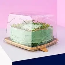 Small Square Cake Container with High Lid