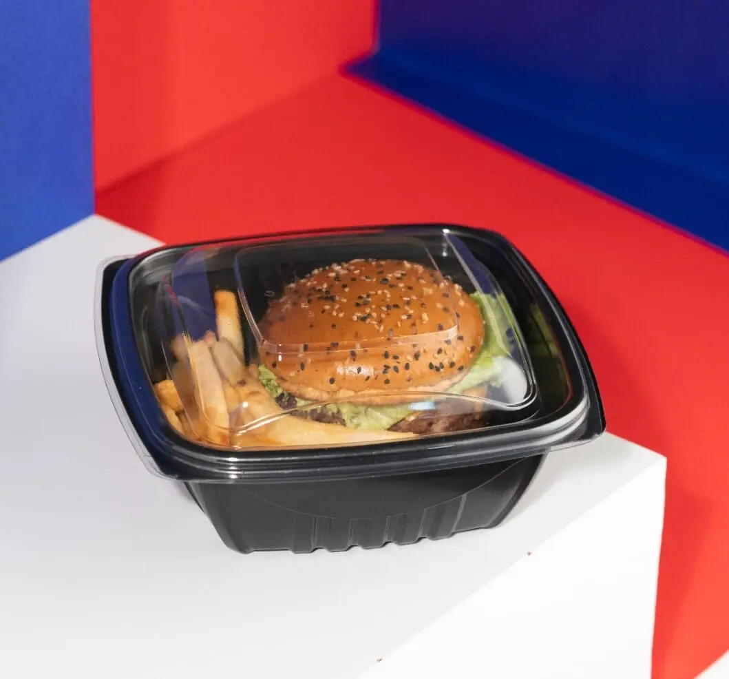 Plastic Multipurpose Tray Container