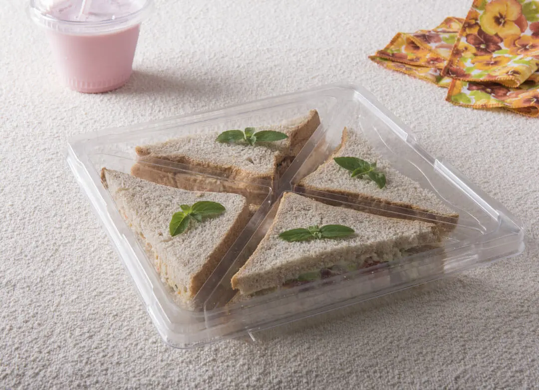 Square Packaging with 4 Compartments