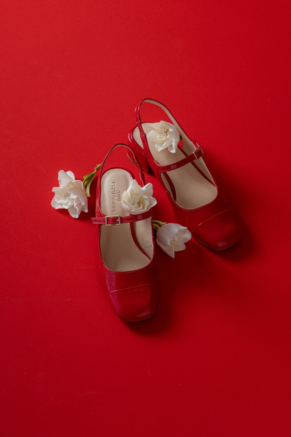 ZAPATOS ALICE