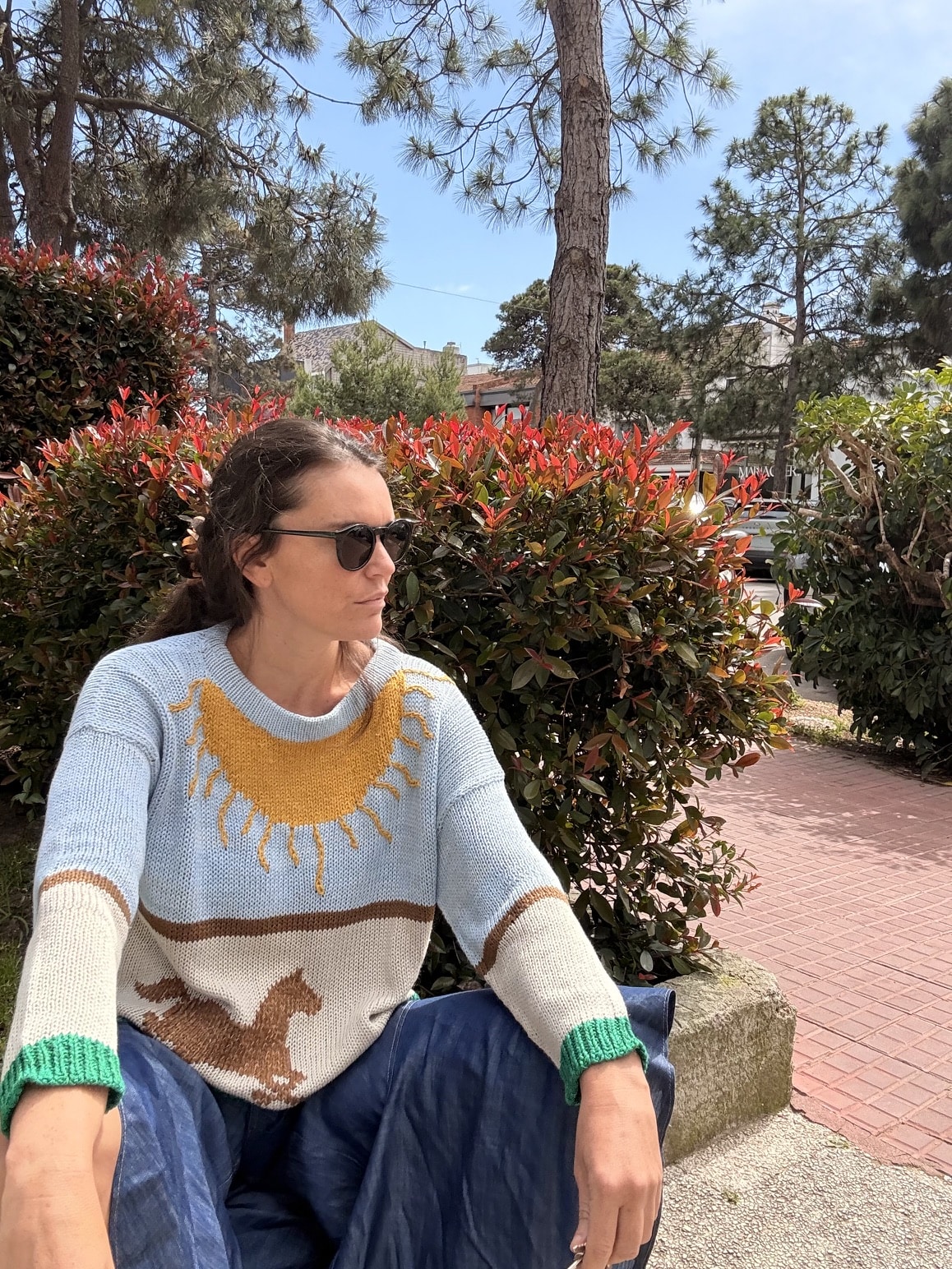 Sweater Santa Rita