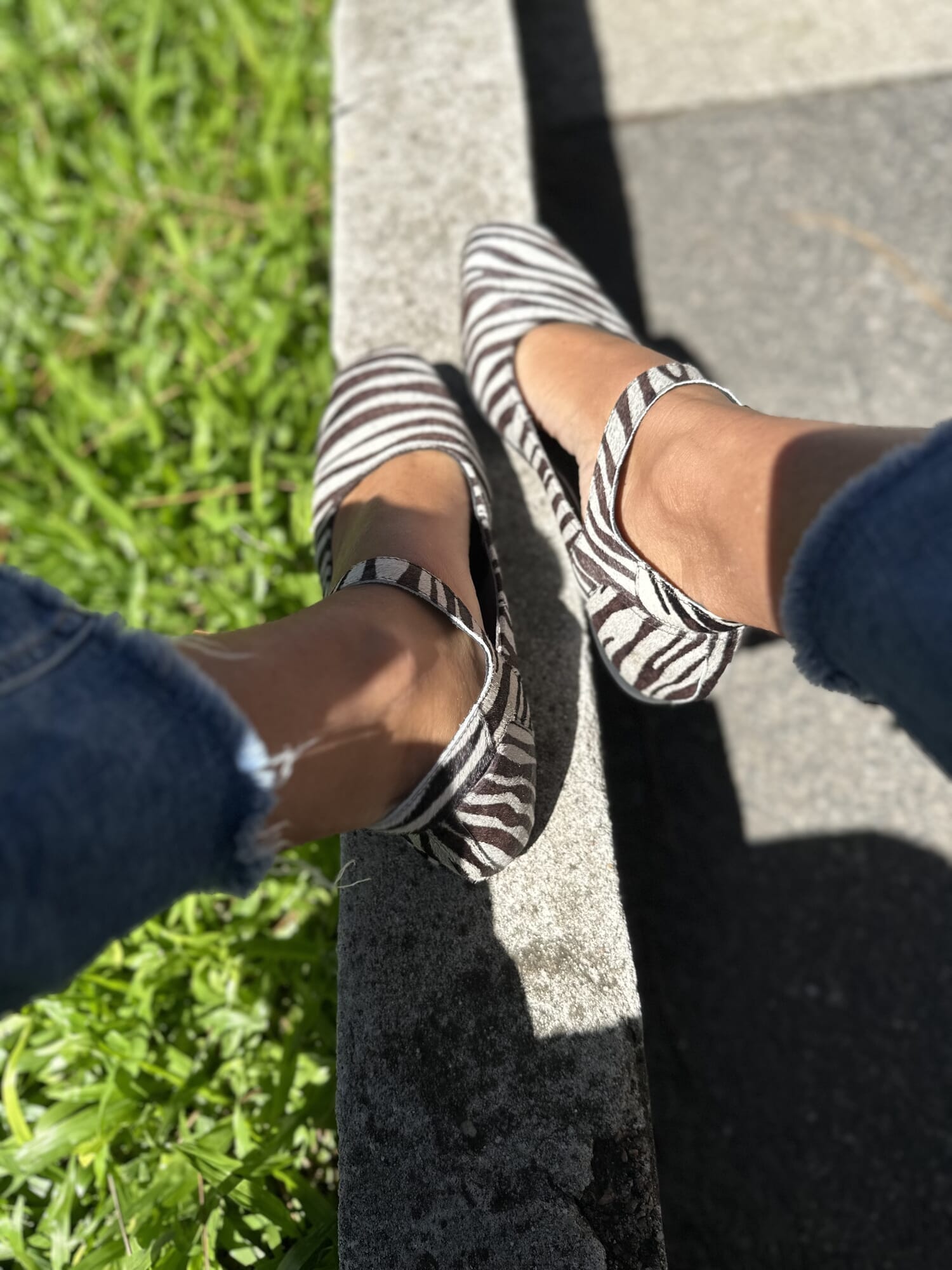 Mary jean Zebra print