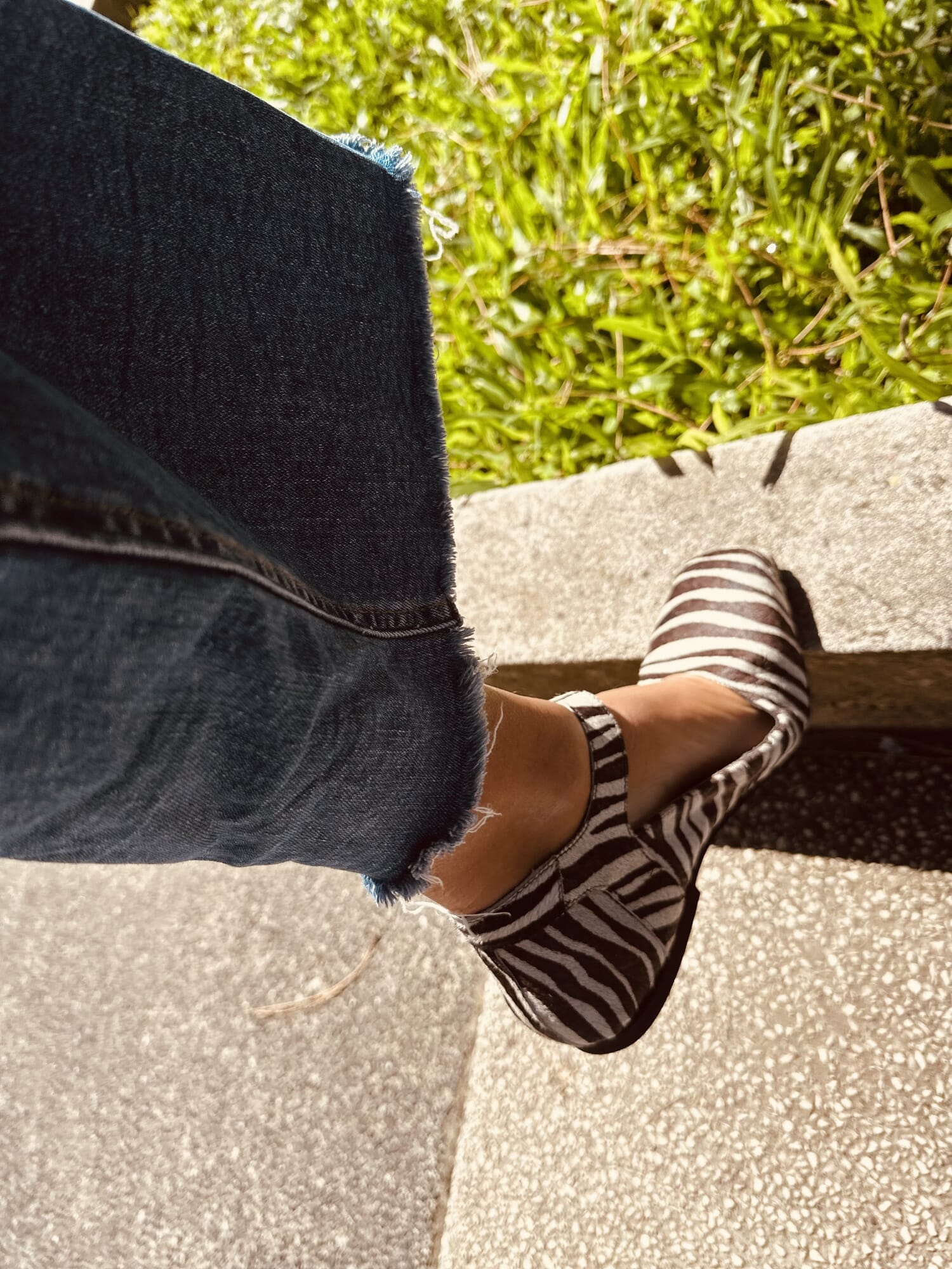 Mary jean Zebra print