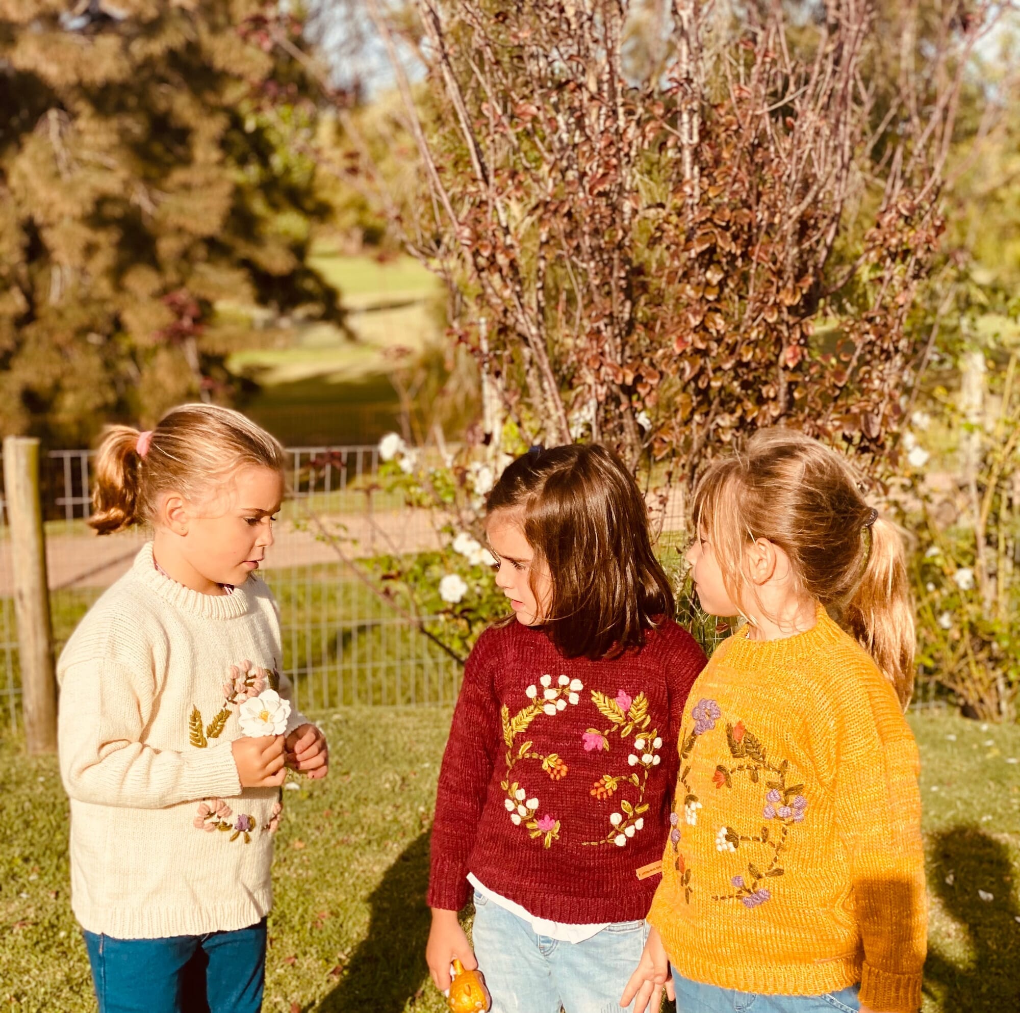 Crown Sweater - Bordeaux