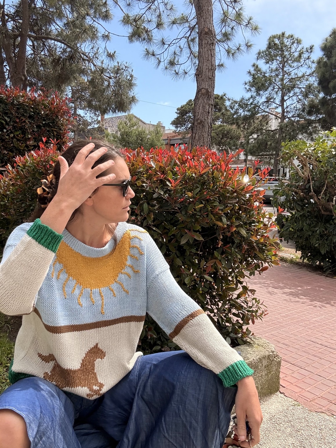 Sweater Santa Rita