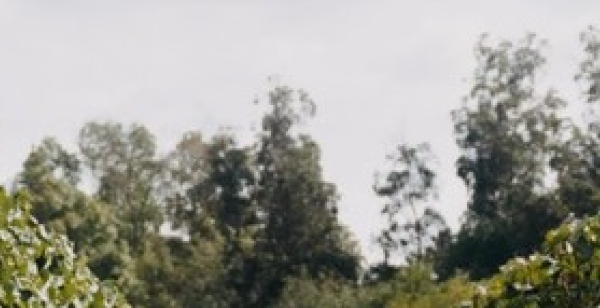 Imagen de Fondo