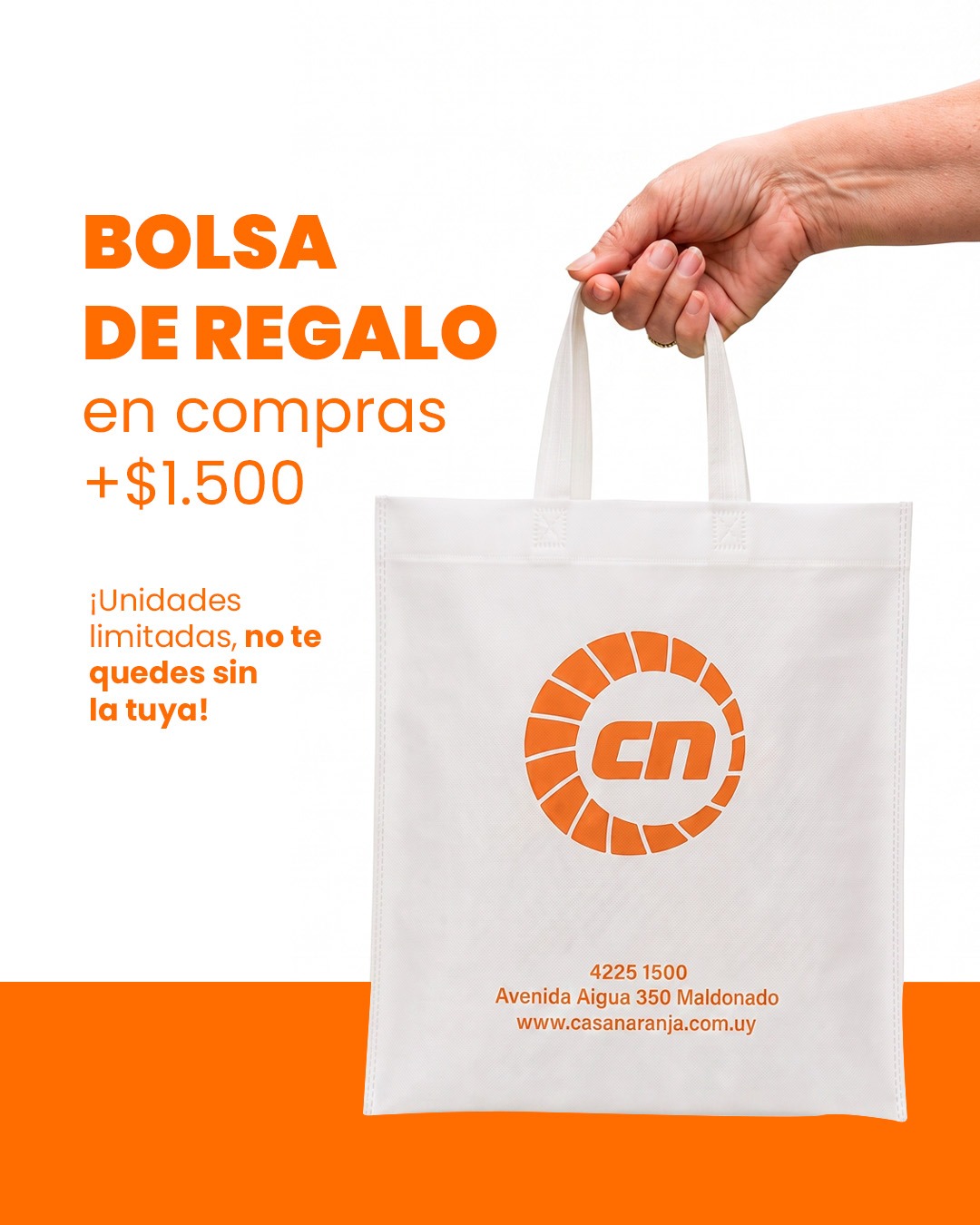 Imagen de posteo de Instagram
