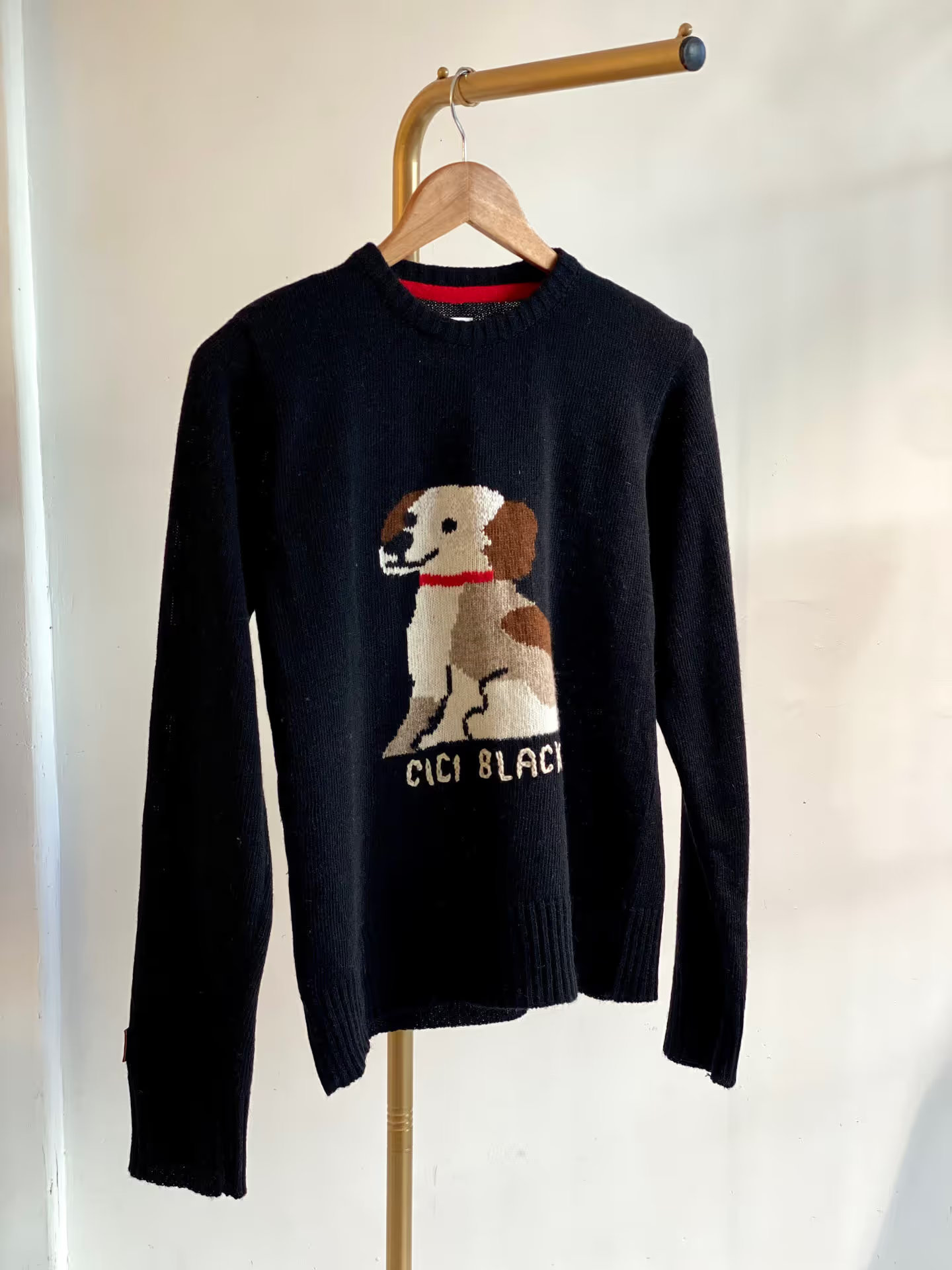 Buzo Lana Puppy