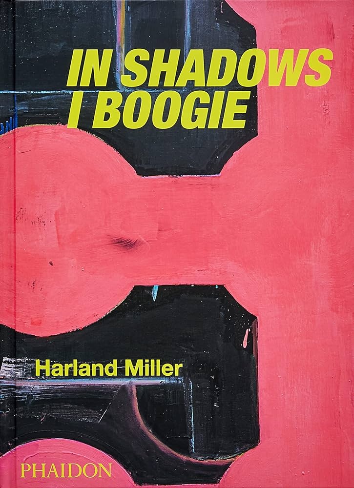 IN SHADOWS I BOOGIE (Nuevo)