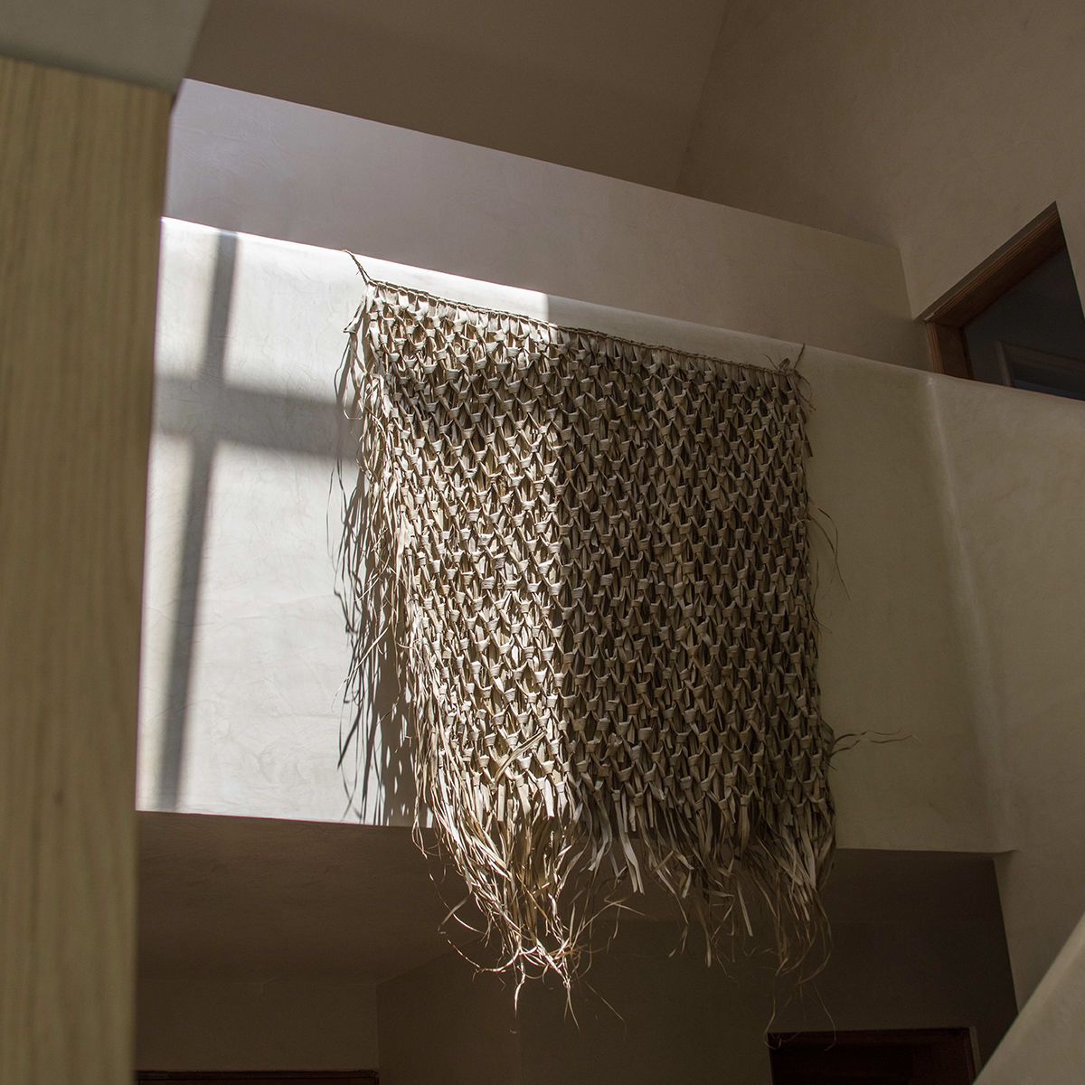 Tapiz seagrass