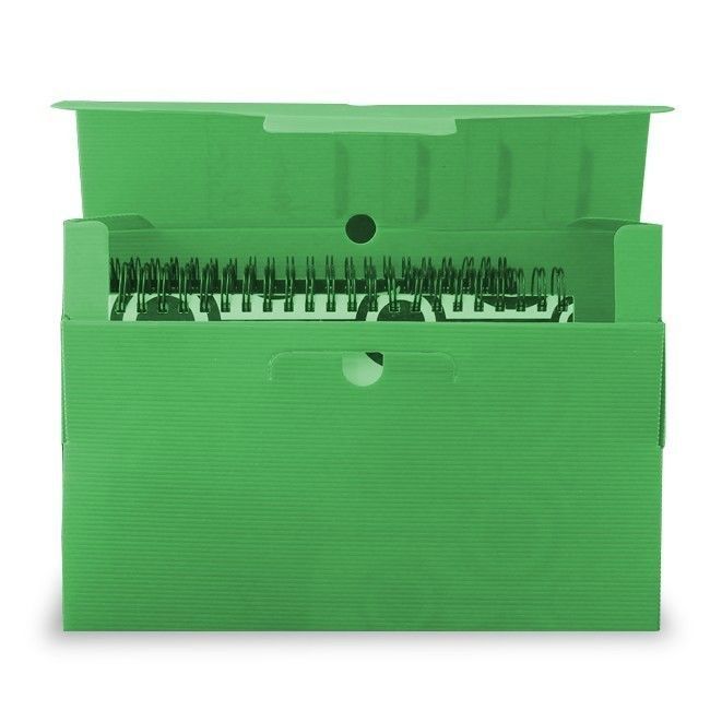 Caja Archivo Plástica 13cm Verde Polibras