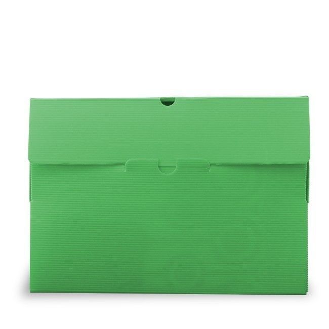 Caja Archivo Plástica 13cm Verde Polibras