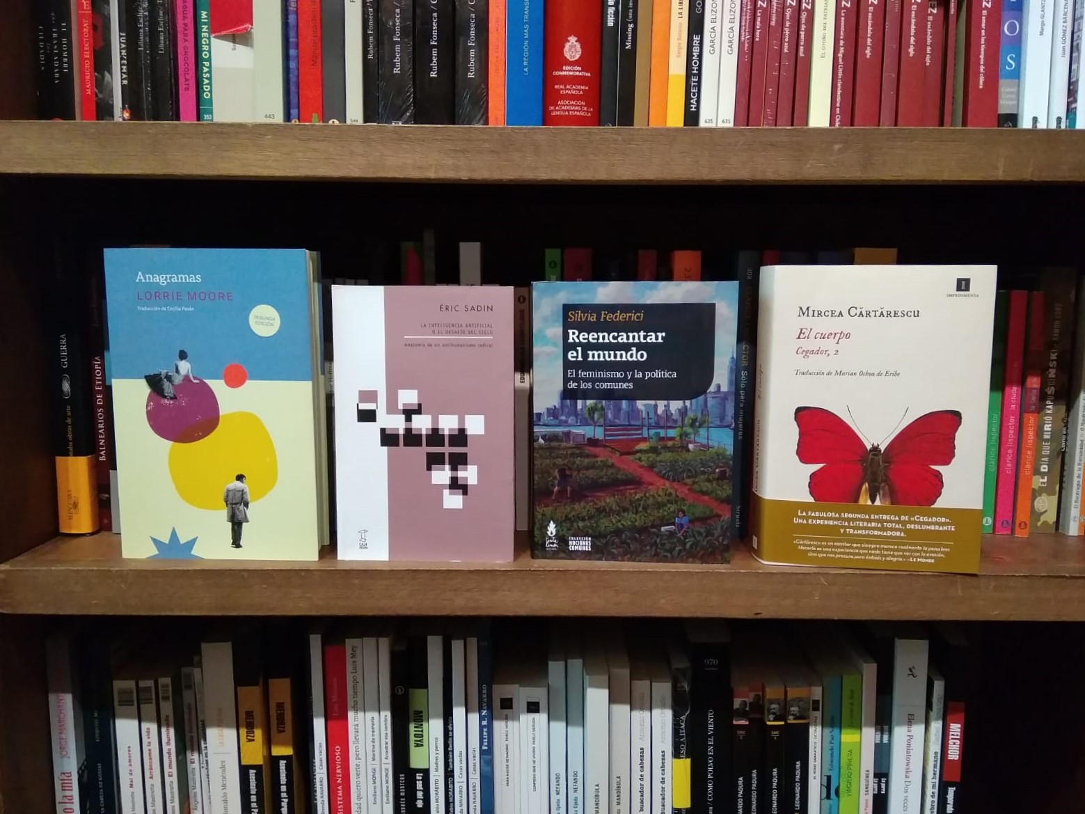 Lecturas 2020: una selección de novedades internacionales