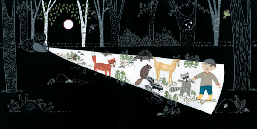 Libros en la noche