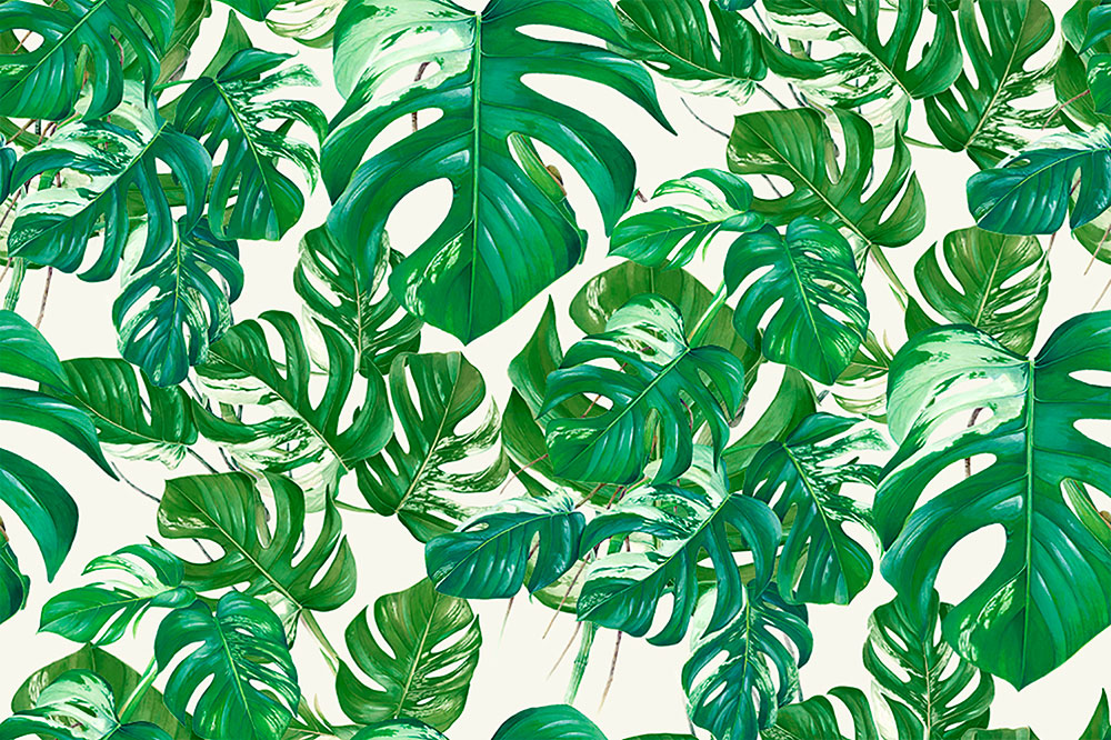 Diez lecturas para proteger el medioambiente