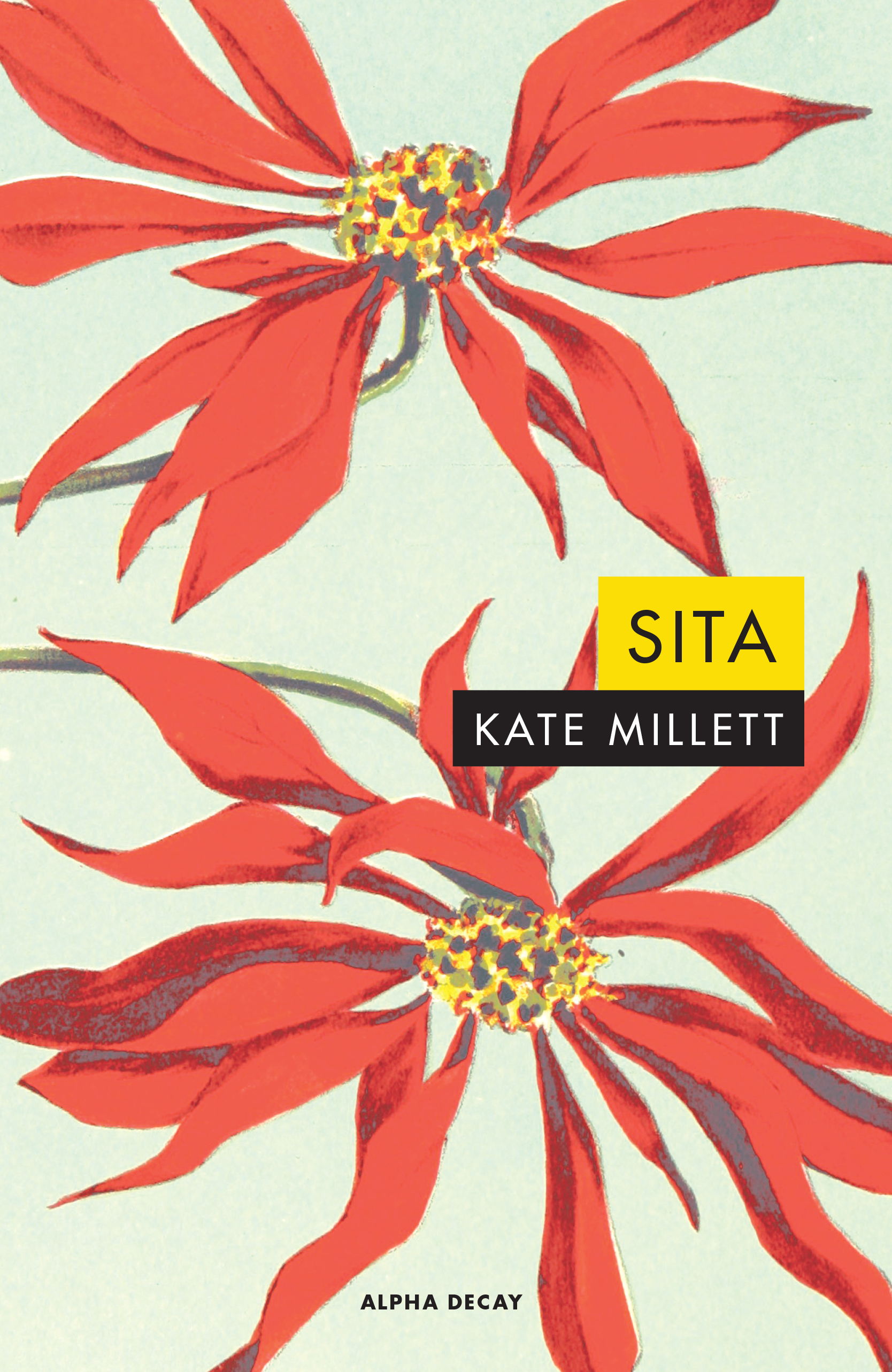 Leé un fragmento de «Sita», de Kate Millet