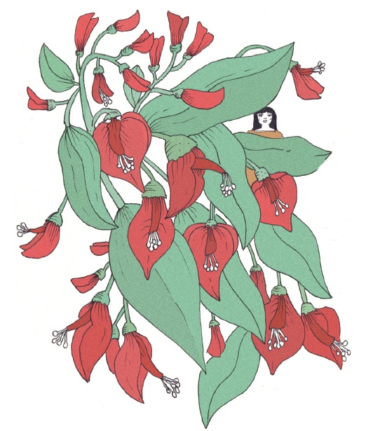 Leé un fragmento de «Jardín ambulante», de Virginia Mórtola
