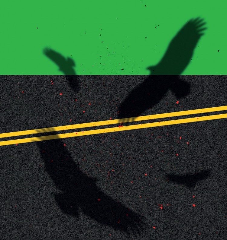 Episodio 4: «Entierre a sus muertos», de Ana Paula Maia