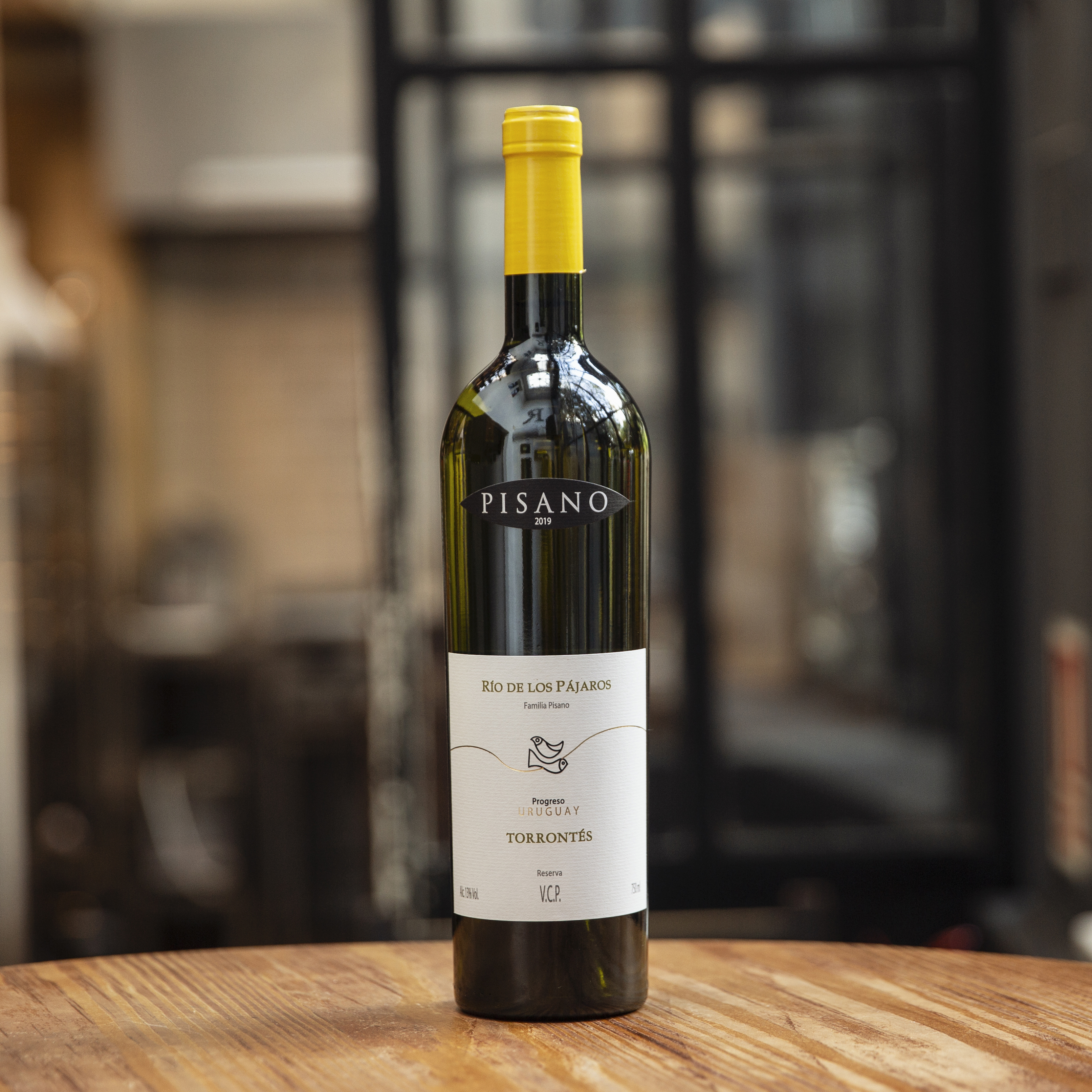 Vino Pisano