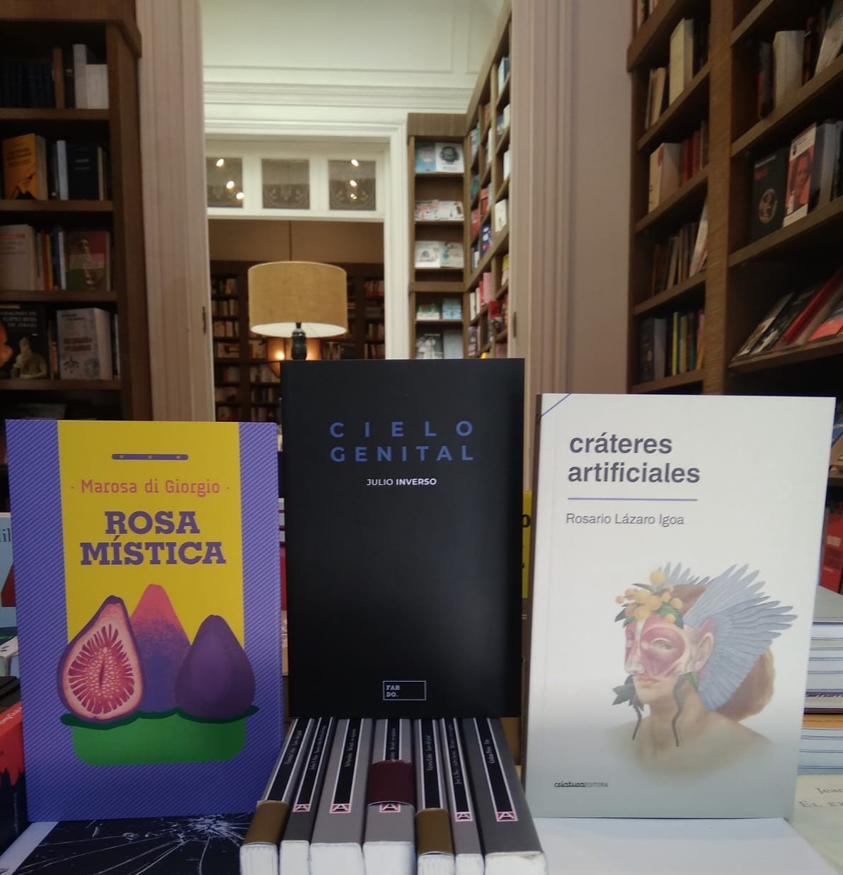 Lecturas 2021: una selección de publicaciones de autoras y autores nacionales