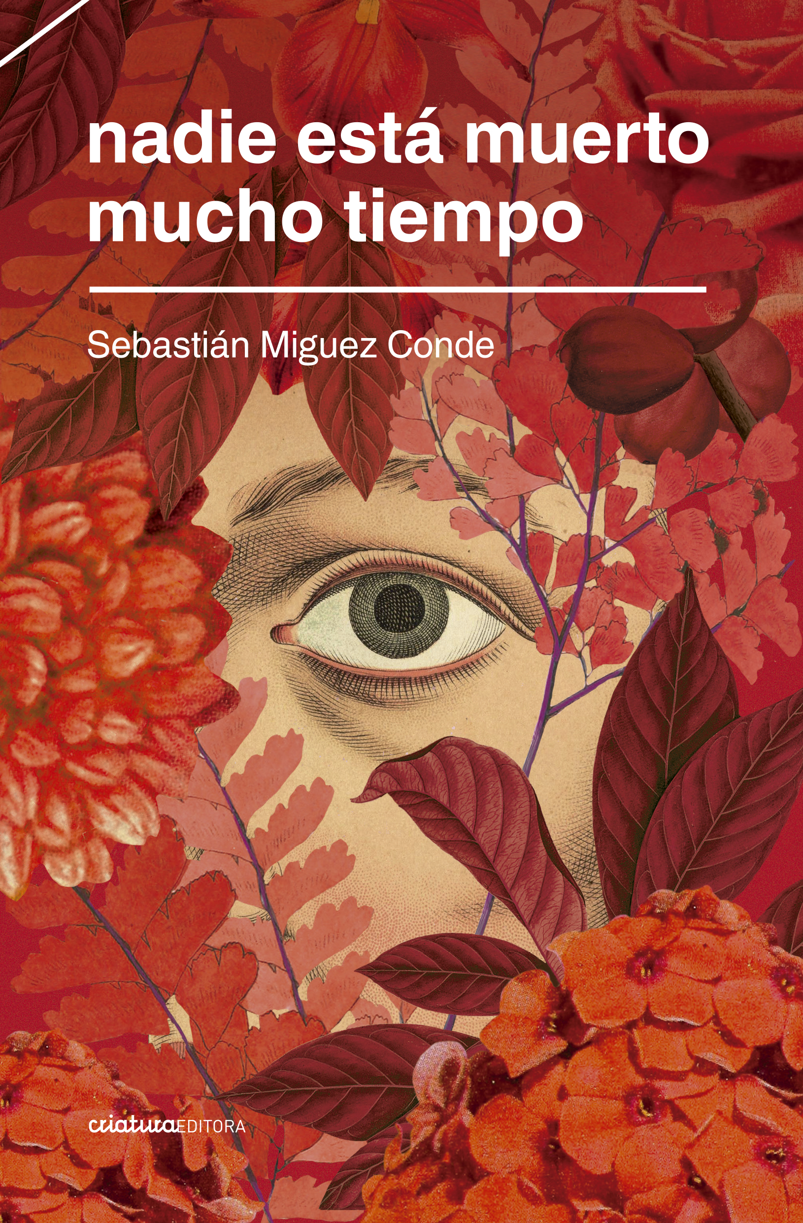 Leé un fragmento de «Nadie está muerto mucho tiempo» de Sebastián Miguez Conde