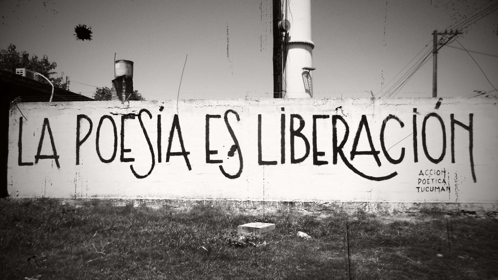 El Día de la Poesía
