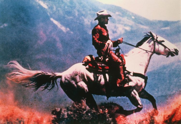 Los caballos robados