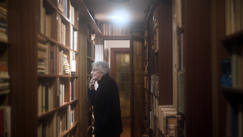 El cine en estado lírico: el cosmos de «Ida Vitale»