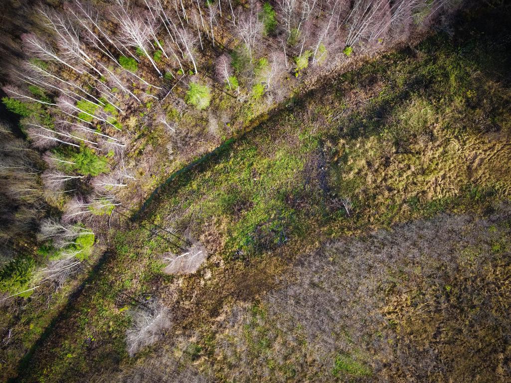 Ecologías del futuro en un planeta caliente