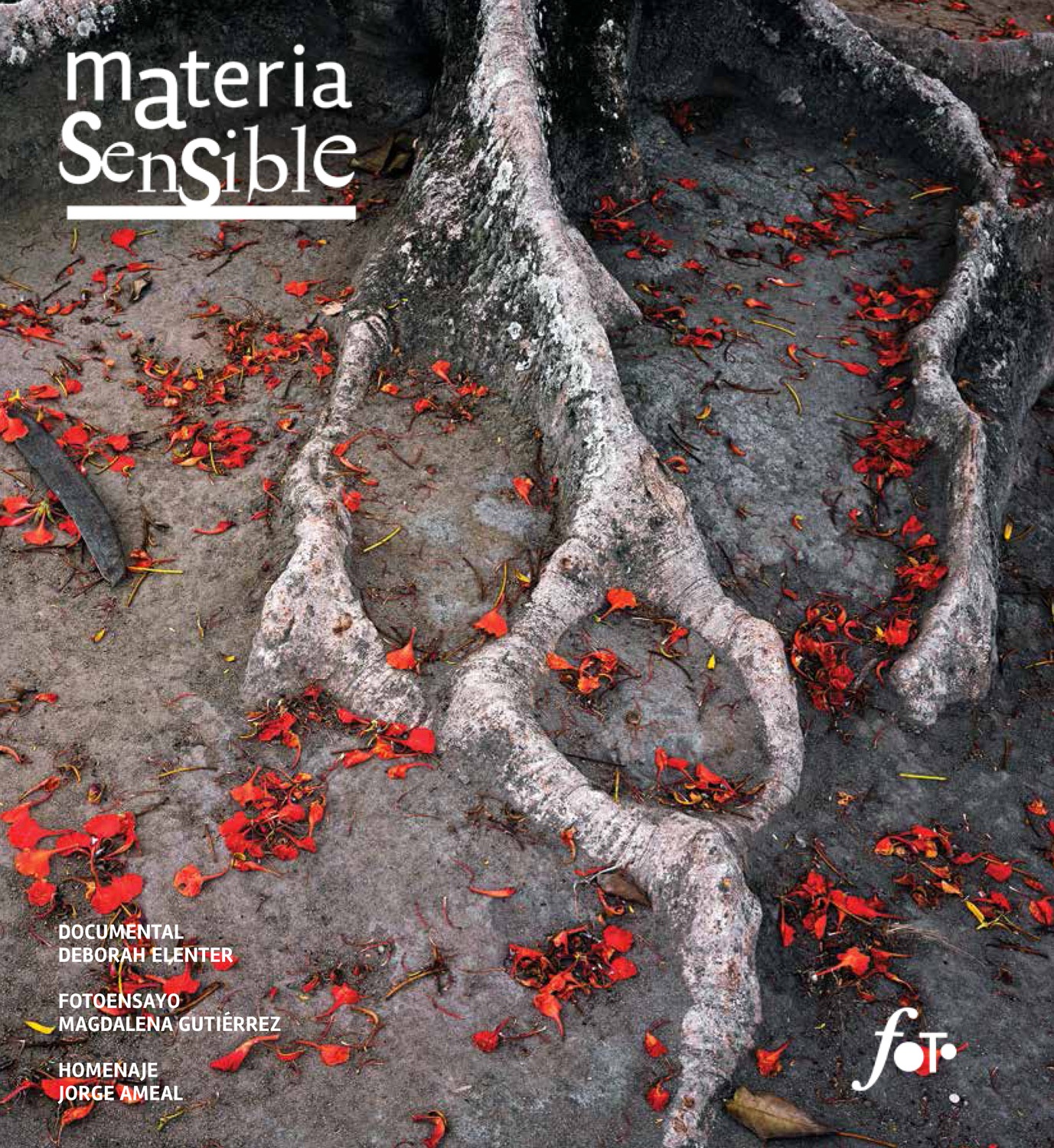 MATERIA SENSIBLE 18
