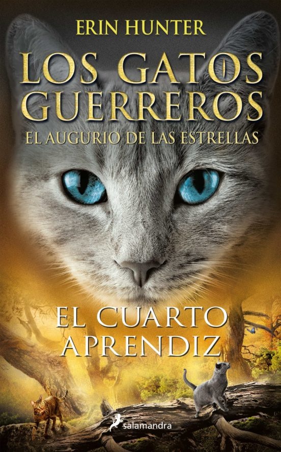 CUARTO APRENDIZ. GATOS GUERREROS