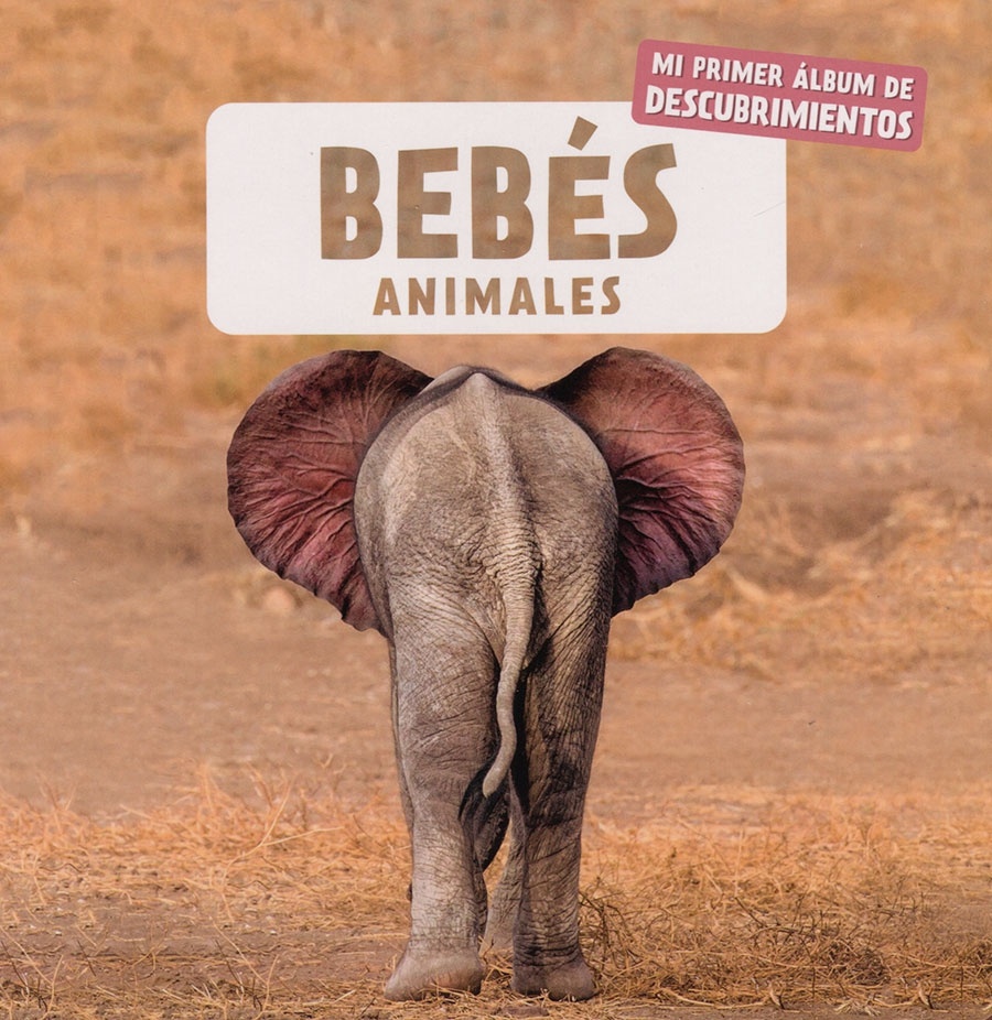 BEBES ANIMALES