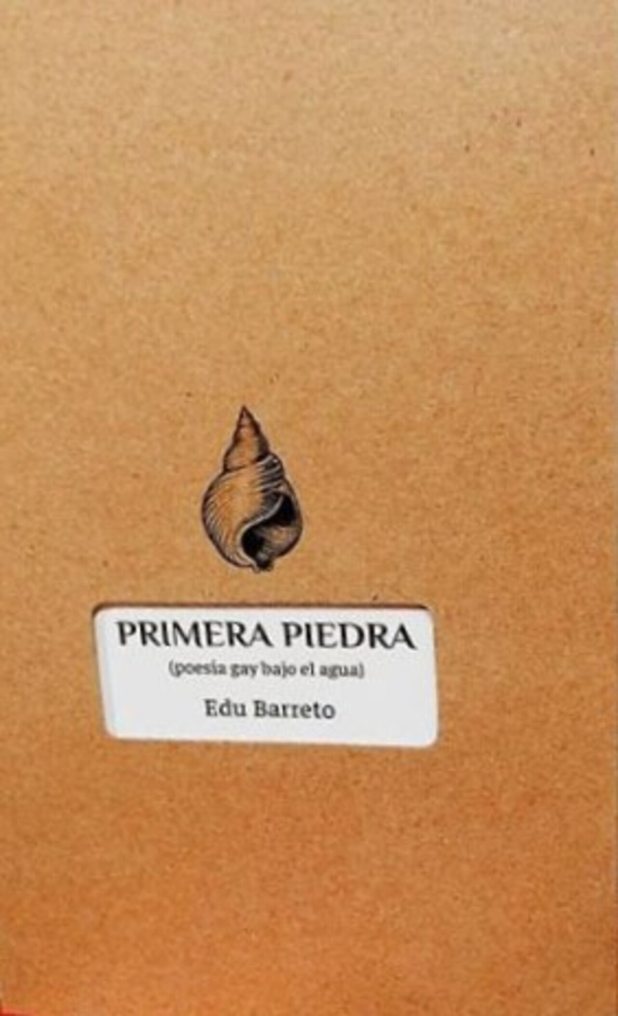 PRIMERA PIEDRA (POESÍA GAY BAJO EL AGUA)