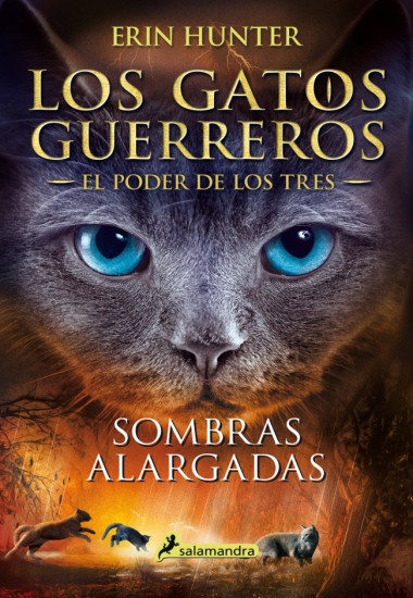 LOS GATOS GUERREROS SOMBRAS ALARGADAS