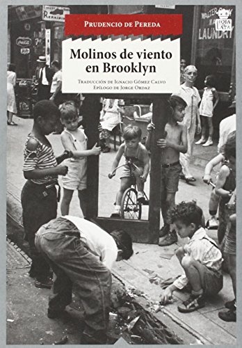 MOLINOS DE VIENTO EN BROOKLYN