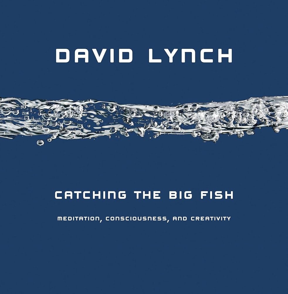 CATCHING THE BIG FISH (HC)