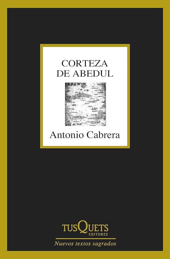 CORTEZA DE ABEDUL